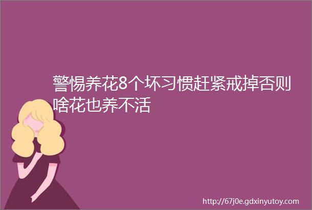 警惕养花8个坏习惯赶紧戒掉否则啥花也养不活